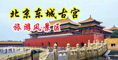 动漫美女黑絲日皮中国北京-东城古宫旅游风景区